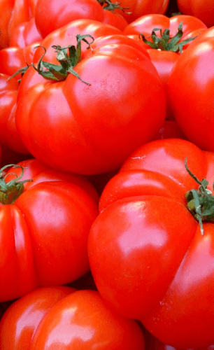 One Tomato